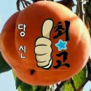 일등인력개발직업소개소 이미지