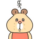 파라 에스테틱 이미지