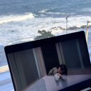 따붕 - 영천시 | 나 혼자 떠난 묵호 뚜벅이 여행, 꽉 채운 2박 첫째 날 🚶‍♀️
