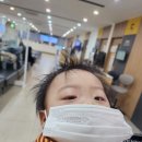 비알에스 | 10개월 아기 급성 후두염초기 증상부터 진단까지, 엄마가 겪은 실제 타임라인 기록