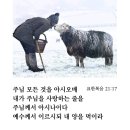 참소망약국 - 송파구 양재대로 1222 | 참소망약국