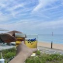 바다가있는여행 | 오션뷰펜션, 봉포 해수욕장 바다가 코앞에 있는 네이플 하우스 피렌체 룸 솔직후기 (feat. 나혼자산다)