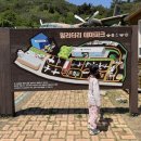 게임테마파크 | 아이랑 광주 근교 나들이｜무안 밀리터리 테마파크 솔직후기