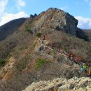 공룡목장 이미지