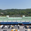 안동농협농산물공판장 이미지