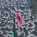 4월15일 수요일 서울방 출석부 이미지