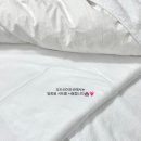 오드리이모션(AUDREY EMOTION) 네이버블로그