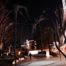 모리스테이 이미지