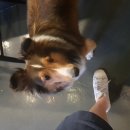 스페이스바이샤샤 이미지