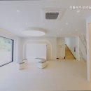 리틀포즈 반려동물 장례식장 이미지