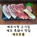 돈품 | 제주시청 고기집 제주 흑돼지 맛집 제주돈품 방문후기