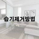 여름철 집 안 습기 제거 방법 알아보기 이미지