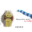 펜타약국 이미지