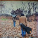 포크기타 (연주) 이미지