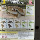 새로본프라자 네이버블로그