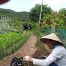 이글농장 이미지