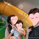 도도리파크(실내) | [육아] 세종 조치원 리뉴얼된 도도리 파크 후기(feat. 세종 아이와 가볼 만한 곳)