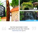 바람아래팜스테이 | 청주독채팬션 , 수영장 있는 바람아래팜스테이 후기