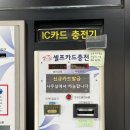 정원손세차 이미지