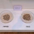 안동포 전시관 이미지