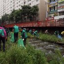 가음정천 이미지