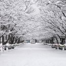 갤러리안경콘택트 이미지