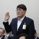 탕후루정 이미지