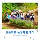 여수 초등학생들의 담쟁이 농부학교 체험 후기