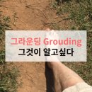 그라운딩 이미지