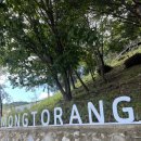 청양알프스산양목장 | 태백) 한국의 알프스 “몽토랑산양목장” 풍경&amp;먹이 주기 체험후기