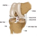 새샘내과의원 이미지
