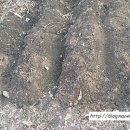 액비골(2) 이미지