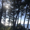 진서2농장 이미지