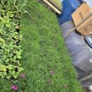 계양농약사 이미지