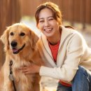 에이드동물병원 이미지