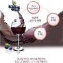 와인코리아(주)농업회사법인 네이버블로그