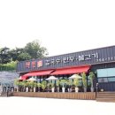 색동가