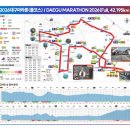 2026년 대구 마라톤 도전기, 풀코스 완주 후기