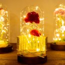 마음을 담은 플라워박스 이미지