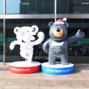 2018 평창 동계 패럴림픽 방문기 - 강변 터미널, 강릉 올림픽파크