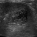 타임즈 동물의료센터 이미지