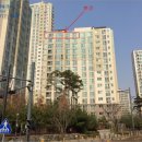 판교동 소로3 네이버블로그