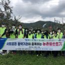 포항농협 하나로마트 이미지