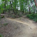 원주굽이길 1코스 배부른산길 이미지