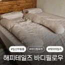 해피로 PC | 임산부 바디필로우 추천 해피테일즈 바디필로우 33주차 임산부 사용후기