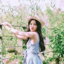 웨이브HAIR 이미지