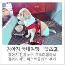 더 퍼스트 클래스 펫 | [펫츠고 프리미엄좌석 후기 - 강아지전용 버스] 강아지계의 퍼스트클래스 유료좌석, 펫츠고버스 사전...