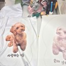 엘림공방 | 반려견 대형 쿠션 인형 52cm 제작 후기 | 강아지 사진 커스텀 인형 선물 추천 (일산 엘림창작소)