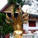 ＜제 17편＞왓 씨엥통(Wat Xieng Thong) 사원 이미지