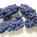 이상천 농장 이미지